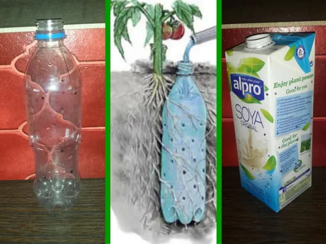 Jak zrobić podlewanie z butelki, aby uniknąć przesuszenia roślin