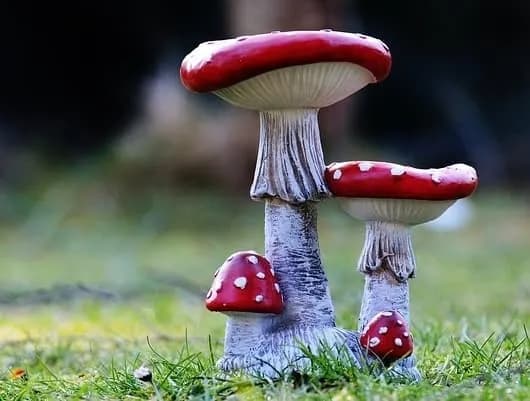 Jak zrobić ozdoby z cementu do ogrodu – proste i efektowne pomysły